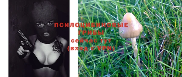 стафф Абдулино