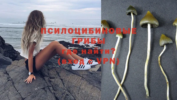 стафф Абдулино