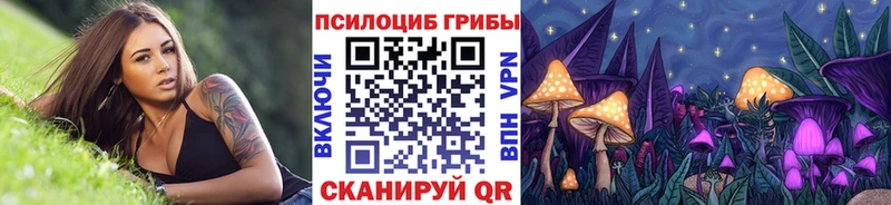 hydra ССЫЛКА  нарко площадка наркотические препараты  Псилоцибиновые грибы Psilocybe  Болотное 